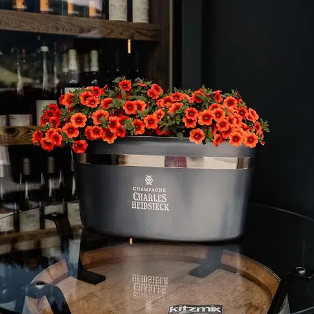 Lejlighed Lamonte Luxury Kitzbühel